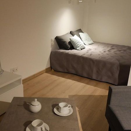 Auschwitz New Flat For Rent Air Conditioning In The Apartament Oswiecim Nowe Mieszkanie - Centrum Klimatyzacja W Mieszkaniu Apartment Екстериор снимка