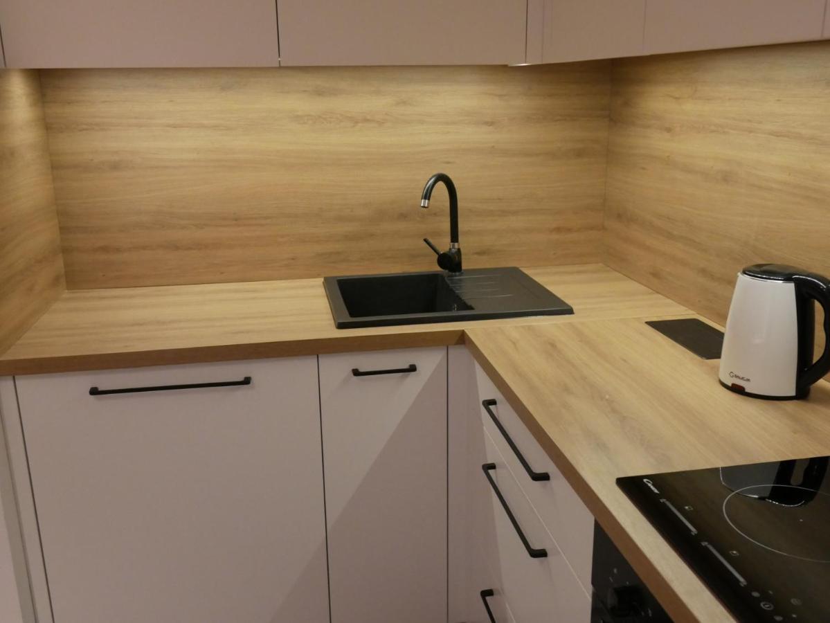 Auschwitz New Flat For Rent Air Conditioning In The Apartament Oswiecim Nowe Mieszkanie - Centrum Klimatyzacja W Mieszkaniu Apartment Екстериор снимка
